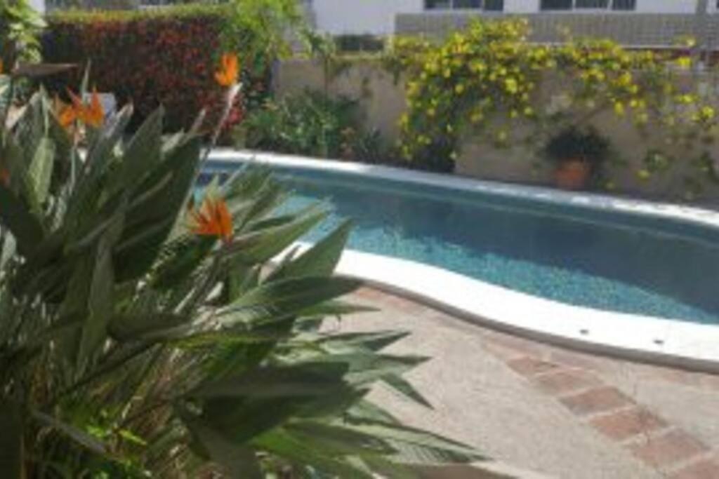 מזטלן Apartmento Con Alberca A 50 Mt Del Mar La Licha מראה חיצוני תמונה